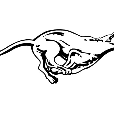 Cougar